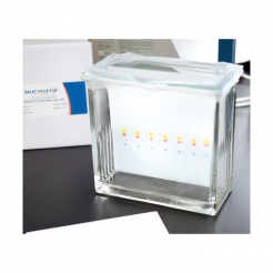 SiliaPlate (TLC Plates)